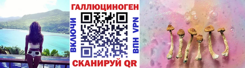 Галлюциногенные грибы мухоморы  Зима 